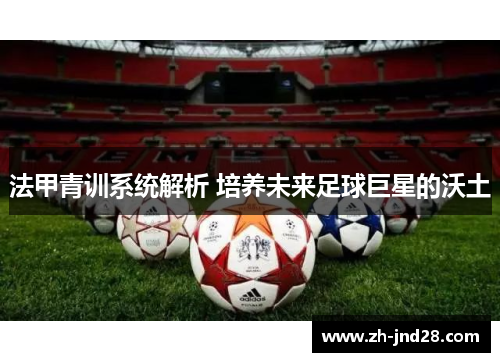法甲青训系统解析 培养未来足球巨星的沃土